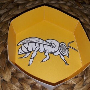 Vývoj včely - v plásti