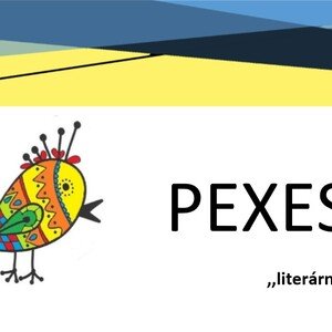 Pexeso - literární pojmy