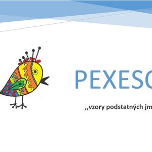 Pexeso - vzory podstatných jmen