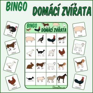 Bingo - Domácí zvířata