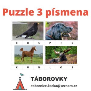 Puzzle 3 písmena