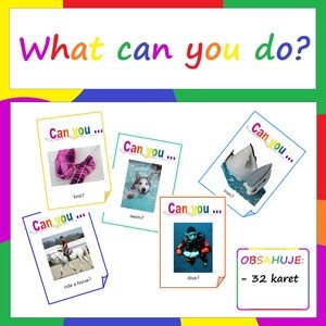What can you do? (can / cant)
