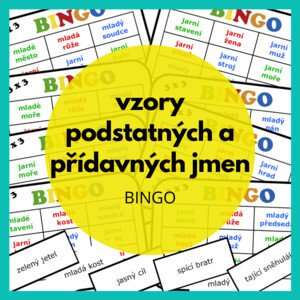 bingo - vzory podstatných a přídavných jmen