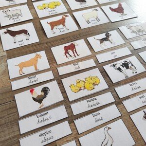 Montessori třísložkové karty - hospodářská zvířata