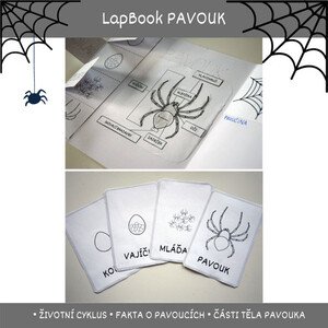 Lapbook PAVOUK - pdf podklady