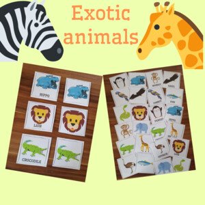 Exotic animals - MY SAFARI