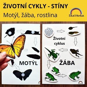 ŽIVOTNÍ CYKLY - STÍNY /motýl, žába, rostlina/