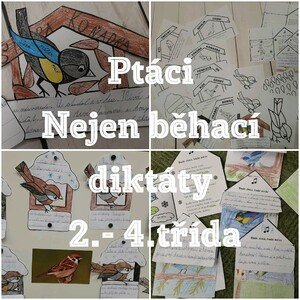 PTÁCI - 2.-4. třída nejen běhací diktáty