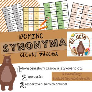 Synonyma - domino, 5 verzí hry, různá slova