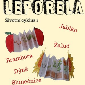Leporela - životní cyklus 1