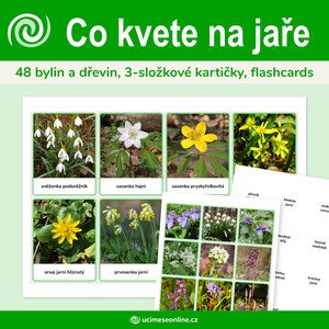 Co kvete na jaře - 48 bylin a dřevin, 3-složkové kartičky, flashcards