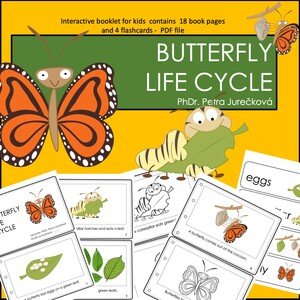 Butterfly Life Cycle - booklet