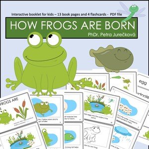 HOW FROGS ARE BORN - booklet