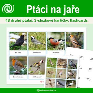 Ptáci na jaře - 48 druhů ptáků, 3-složkové kartičky, flashcards