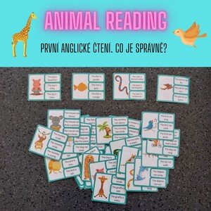 Animal reading - první věty