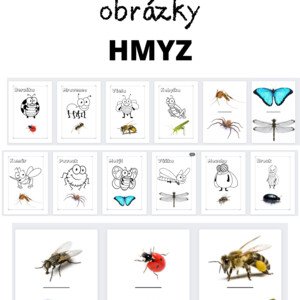 Demostrační obrázky - HMYZ + kreslený hmyz