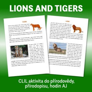 CLIL - LIONS AND TIGERS