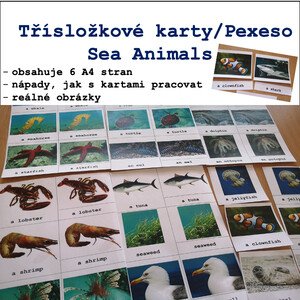 Třísložkové karty/Pexeso Sea Animals