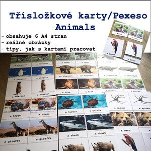 Třísložkové karty/Pexeso Animals