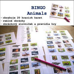 Bingo - Animals