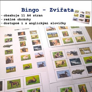 Bingo - Zvířata