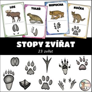 Stopy zvířat - demonstrační karty