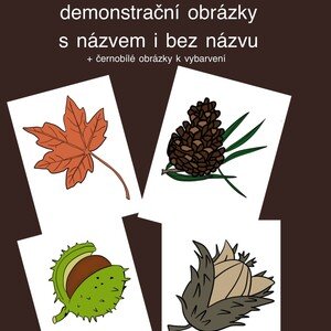 Podzim - demonstrační karty