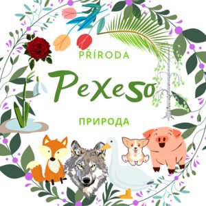 PEXESO - Příroda v ruském jazyce