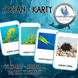 Oceán - karty