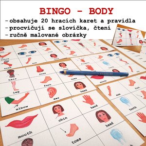 Bingo - BODY