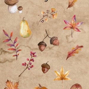 Plakát podzim - 4 barevné pozadí + 1 bílé pozadí