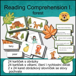 Reading Comprehension I. -Sluniva