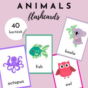 ANIMALS – flashcards