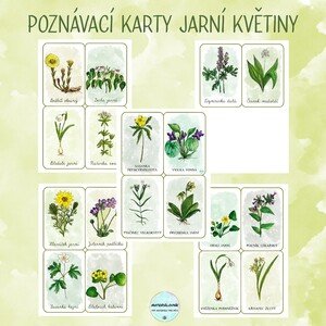 Jarní květiny - Poznávací karty