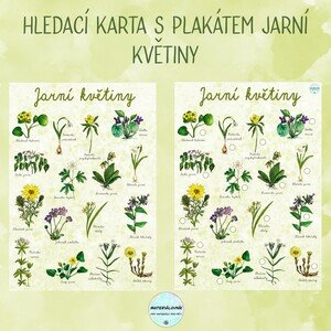 Jarní květiny - Plakáty