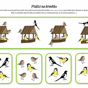 5+1 ptačích aktivit do školky i na doma (3-7 let)