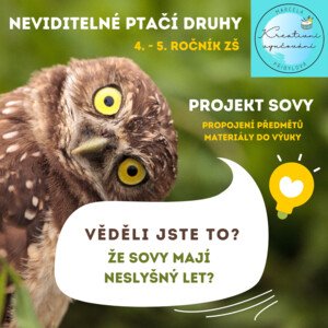 Neviditelné ptačí druhy - Projekt SOVY