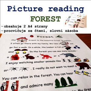 Picture reading - Forest