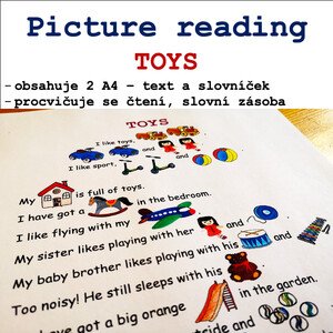 Picture reading TOYS