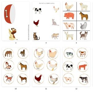 Domácí zvířata - soubor materiálů