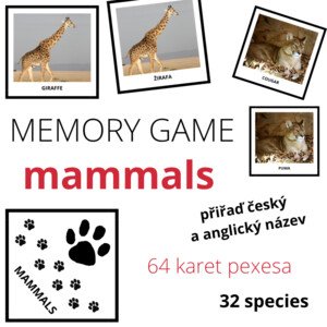MAMMALS - memory game (32 species)
