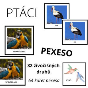 PEXESO - ptáci (32 druhů)