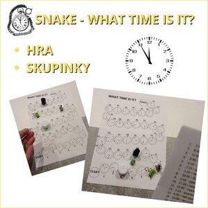 Snake - THE TIME 
