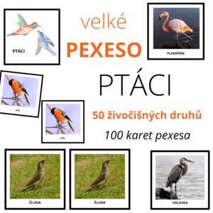 velké PEXESO - PTÁCI - 50 druhů