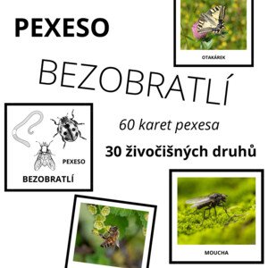 PEXESO - BEZOBRATLÍ (30 druhů)