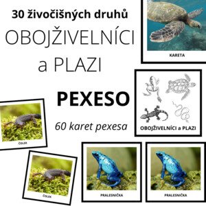 OBOJŽIVELNÍCI, PLAZI - pexeso (30 druhů)