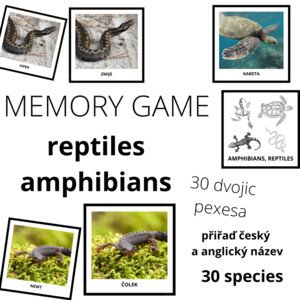AMPHIBIANS, REPTILES - memory game (30 species)