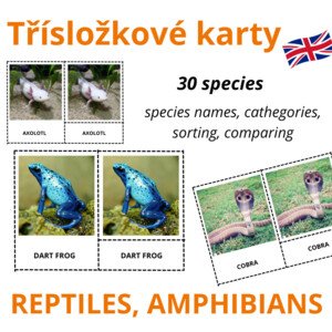 ANGLICKÉ Třísložkové karty - REPTILES, AMPHIBIANS (30 druhů)