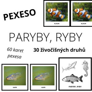 PARYBY, RYBY - pexeso (30 druhů)