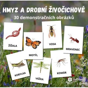 Hmyz a drobní živočichové - 30 demonstračních obrázků